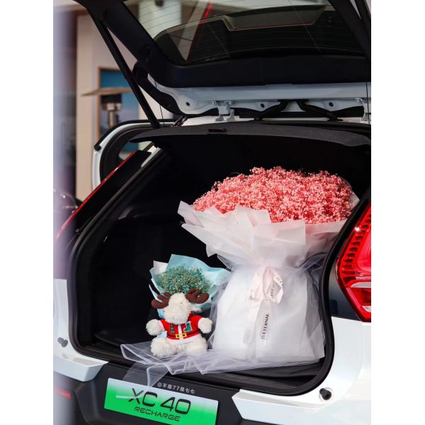 78kWh Battery Capacity Dual Motor Four-Wheel Drive Mobile APP Remote Control Electric SUV Cars VOL-VO XC40 RECHARGE AWD