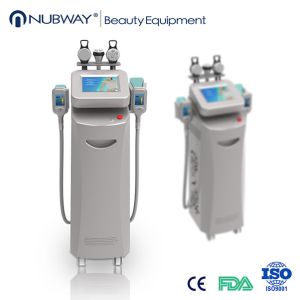 China 5 handles cryolipolysis machine/home cryolipolysis / cryolipolysis fat freezing machine on sale