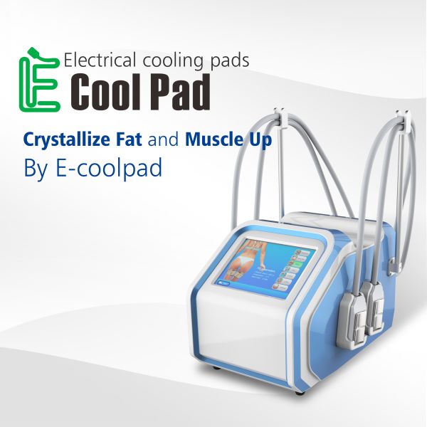 Quality ​Loss Weight 45℃ Cryolipolysis Fat Freezing Machine/Slimming Machine wholesale