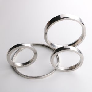 High Temperature F55 RX24 Weld Ring Gasket