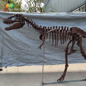 Personalized customization Dinosaur Bone Replicas T Rex Skull Replica