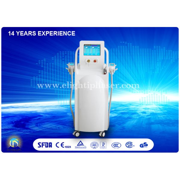 Quality Weight Loss Equipment Cryolipolysis Machine With Wind And Water Cooling System wholesale