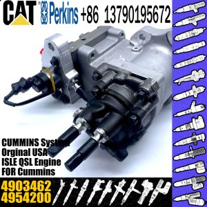 Excavator Parts ISC8.3 QSC8.3 Engine fuel injection pump P5594766 4903462