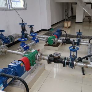 Pressure Stable NBR Rotary Lobe Pump Practical Filter Press Feed