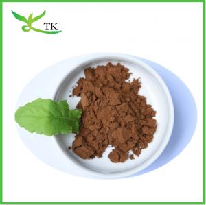 Cheap Chinese Ginseng Dong Quai Extract Powder Angelica Sinensis Root Extract for sale