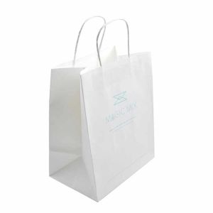 Eco Friendly Printed Paper Bags Portable With Handle Oem Odm Available