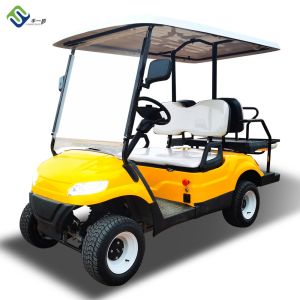 China Electric 6 Passenger EV Golf Cart Buggy UTV Utility Vehicles on sale