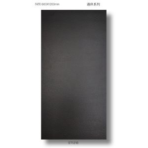 48x24 Gray Porcelain Terrace Tiles - Moisture-Proof & Durable