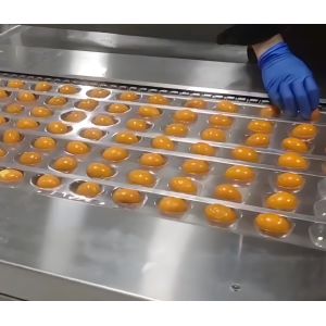 Thermoforming Vacuum Packaging Machine PLC Or HMI Control vacuum seal packaging