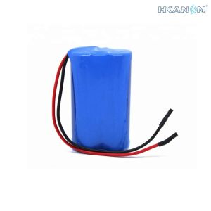 2S1P LiFePO4 Lithium Iron Phosphate Battery Pack 6.4V 1000mAh High Power Density