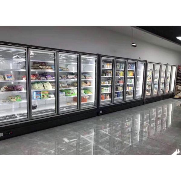 Carel Thermostat Commercial Upright Freezer For Frozen Food