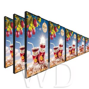 Interior Use 65 Inch 3840*2160 High Brightness LCD Display Window Facing