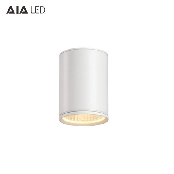 IP65 waterproof round DALI dimmable downlight 18W 0-10V dimmable outdoor led