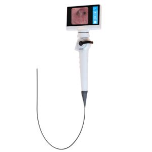 China 2.8mm 3.8mm Digital Endoscope Camera Video Digital Electronic Flexible on sale
