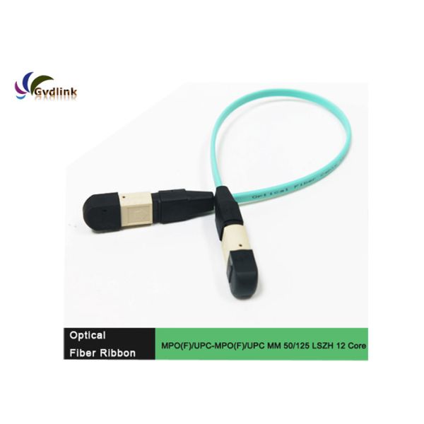 12 Core MPO-MPO Female MM Fiber Patch Cord