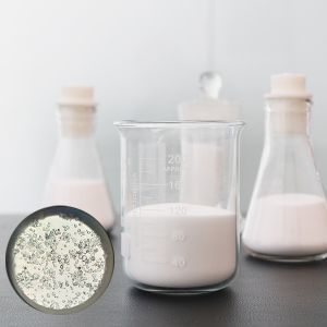 Cheap HN10 Hollow Glass Microspheres for Construction 30-115 µm for sale