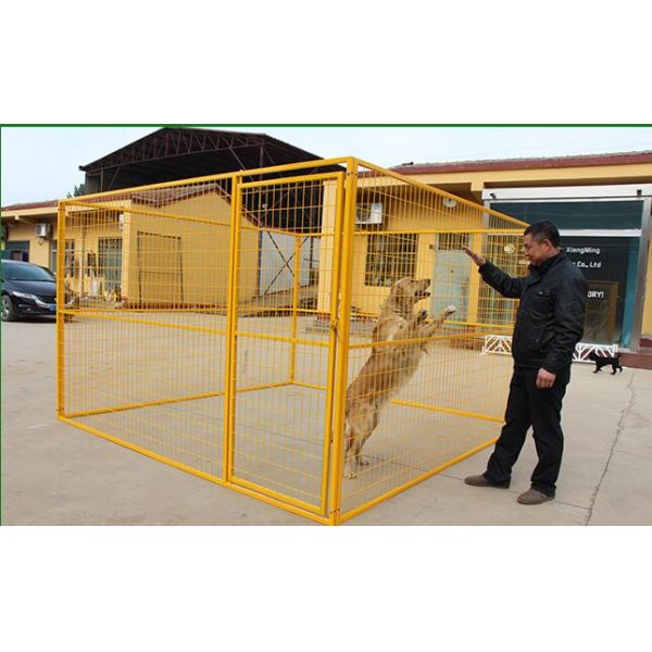 temporary dog fencing