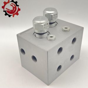 Cheap E.T.N DPS2-10-P-F-0-80 Sany Zoomlion Xugong concrete pump Spare parts and accessories for sale