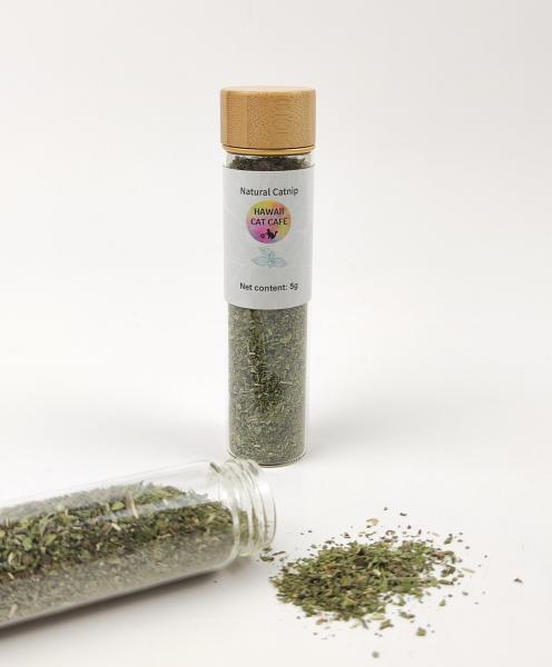 Quality Hot Sale New Design Pet Toy Fresh Catnip Nature Bottle Catnip for cats wholesale