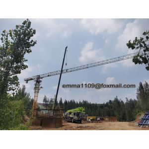 Hot Sale PT5020 50M Working Jib Crane Tower Normally Relay Controllers System