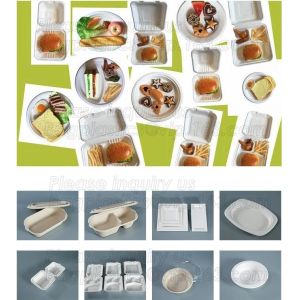 Amazon top seller 2018 1500ml square 3 compartments biodegradable corn starch