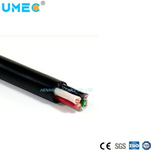 Thermoplastic Insulated Nylon Tsj/Tsj-N Wire Cable for Low Voltage 600V