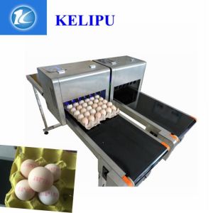 Easy To Operate Egg Batch Number Printer With Computer Software Control