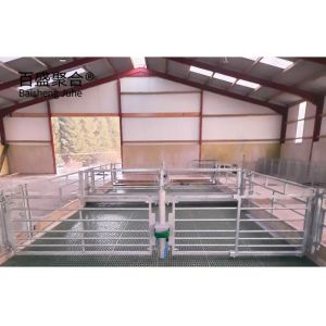 China Hot Galvanizing Steel Structure Livestock Shed with Custom Colors and ASTM Standard on sale