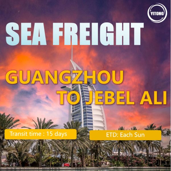 Quality Professional DDP Fast LCL and FCL Air& Sea Agent Shipping Freight Forwarder From China to Middle East/Dubai, Jebel Ali, Hamad, Sharjah. wholesale