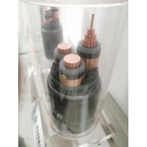 XLPE Insulated Cable with 500-1000 Meter Per Drum Packing Length and 0.6mm 3.4mm Insulation Thickness