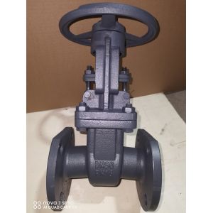 Cast Iron Gate Valve with 150-300 PSI Pressure Rating and ≤120℃ Operating Temperature Compliant with API 598 Testing Standard