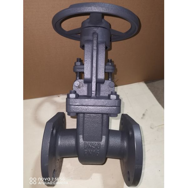 Quality Cast Iron Gate Valve with 150-300 PSI Pressure Rating and ≤120℃ Operating Temperature Compliant with API 598 Testing Standard wholesale