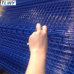 50*150mm Double Loop Wire Garden Welded Mesh Fencing Electro Galvanizing