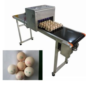 High Speed Industrial Egg Jet Printer Machine , Batch Printing Machine