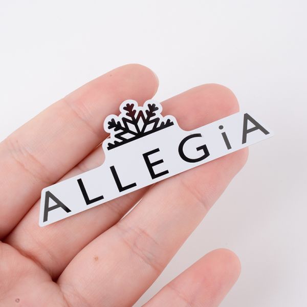 Customized Stainless Steel Label Plate with Self-Adhesive Back Glue and Customer's Logo