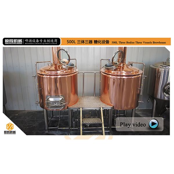 Hotel / Restaurant Micro Beer Brewing Equipment , 300l Red Copper micro brewery equipment