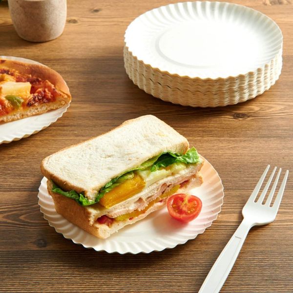 Heavy Duty White Paper Plates Compostable Disposable Tableware Perfect for Catering Food Trucks Festivals and Corporate Events