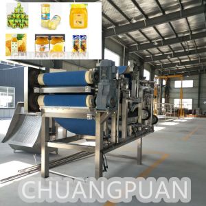 10-20Brix NFC HPP Pineapple Juice Processing Line With More Than 10 Years