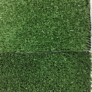 China 10mm No Infill Synthetic Training Turf With SBR Latex Back Or PU Back on sale China 10mm No Infill Synthetic Training Turf With SBR Latex Back Or PU Back on sale
