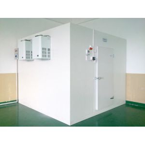 High / Low Temperature 42KG/M3 Walk In Coldroom White Colorbond