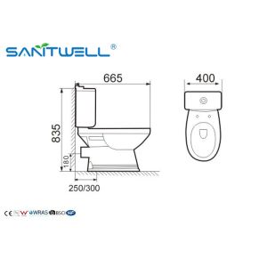 Dual-Flush Modern Ceramic Toilet Two Pieces WC in Bathroom White