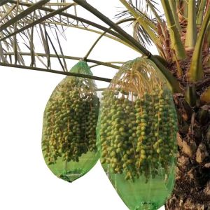 100% Virgin HDPE Date Palm Covering and Protecting Bag for Dates Fruits