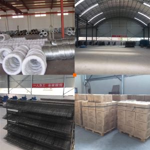 3mm 2kw Laundry 25pcs/Min Wire Hanger Making Machine