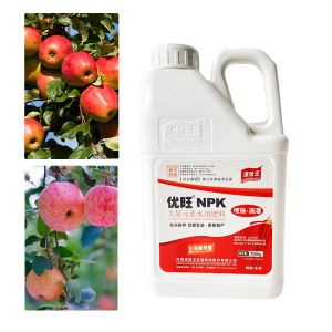 Agricultural NPK Water Soluble Fertilizer Seaweed Extract Powder Plant Seaweed