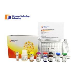 Cheap High Density Mouse ELISA Kit Sandwich Test Method For Research ISO Standard for sale