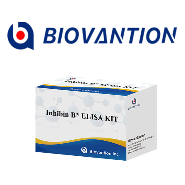 Quality Laboratory Or Hospital High Precision Inhibin B immunological detection ELISA TEST KIT wholesale