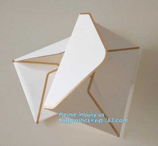 100% Recyclable Biodegradable Brown Kraft Paper Seed Envelopes foil logo