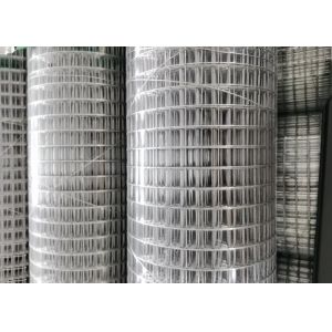 Stainless Steel Galvanized 50mm Custom Weld Mesh Plastic Spraying