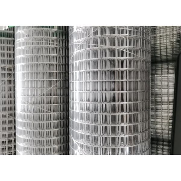 Quality Stainless Steel Galvanized 50mm Custom Weld Mesh Plastic Spraying wholesale