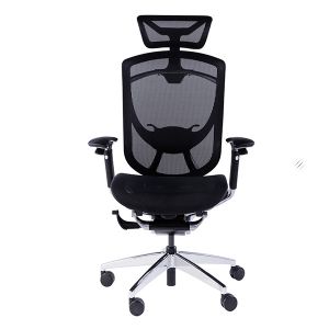 IFIT X Chromed Butterfly Dvary Mesh Office Chairs With Lumbar Support Tilting